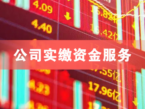 铁岭公司实缴资金服务